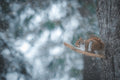 Douceur hivernale