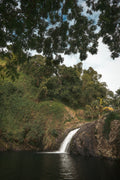 Refuge tropical