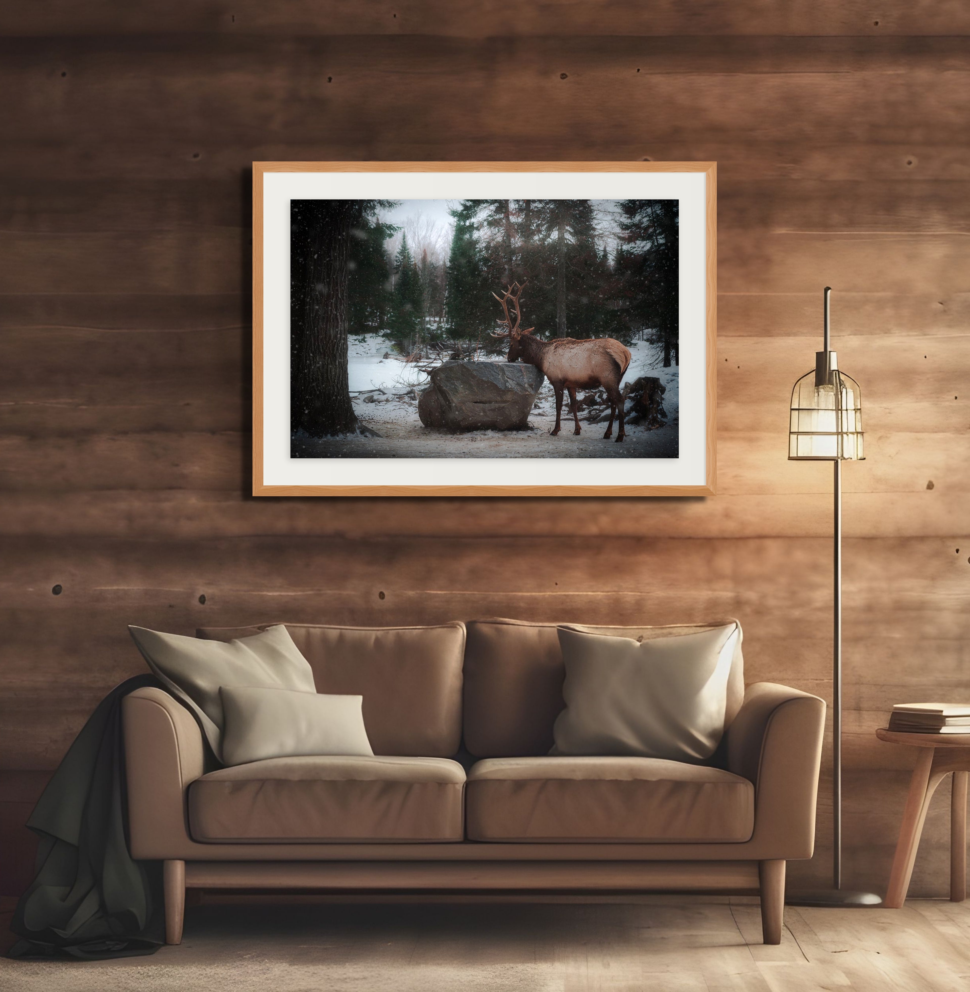 Rencontre dans la foret