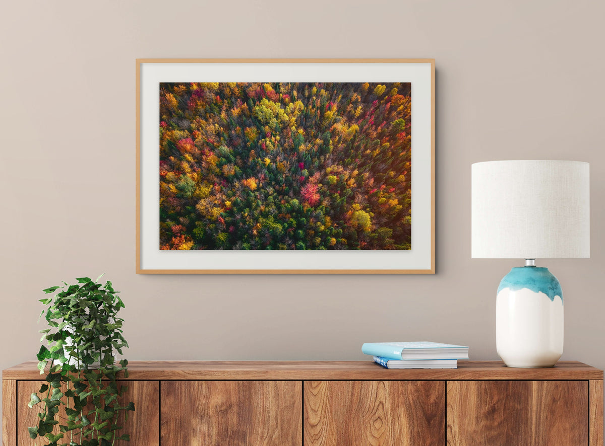 L'Automne vu du ciel